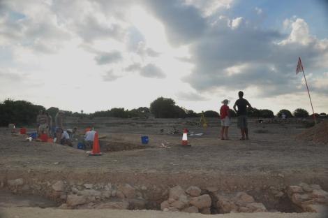 Photo no. 8 (11)
                                	                                    by Paphos Agora Project Archive
                                  
