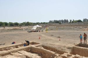Photo no. 8 (10)
	                                		                                  	                                  	  by Paphos Agora Project Archive
	                                  